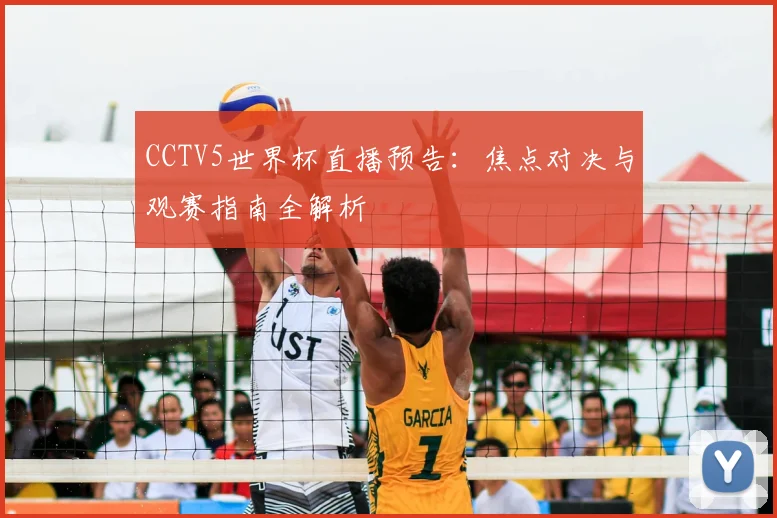 CCTV5世界杯直播预告：焦点对决与观赛指南全解析