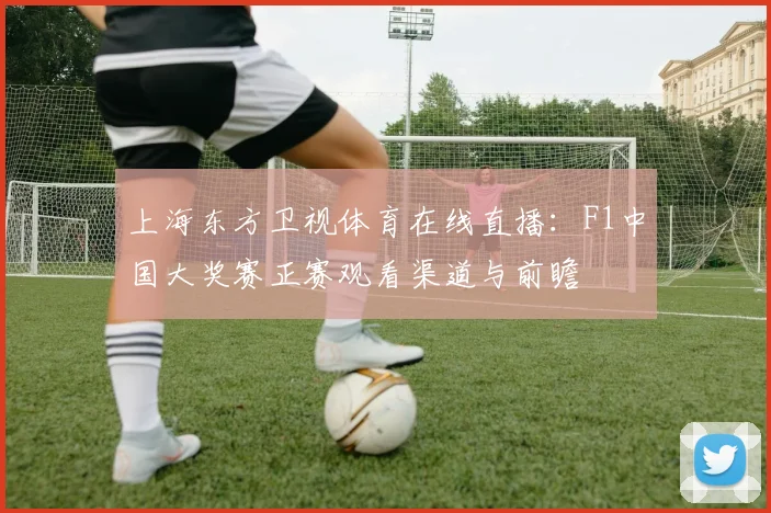 上海东方卫视体育在线直播：F1中国大奖赛正赛观看渠道与前瞻