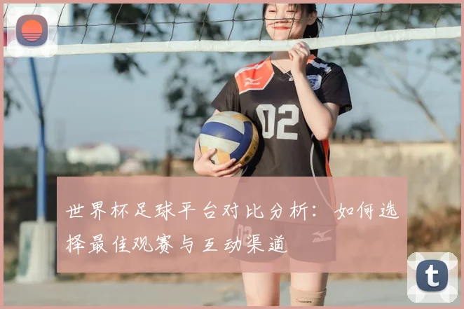 世界杯足球平台对比分析：如何选择最佳观赛与互动渠道